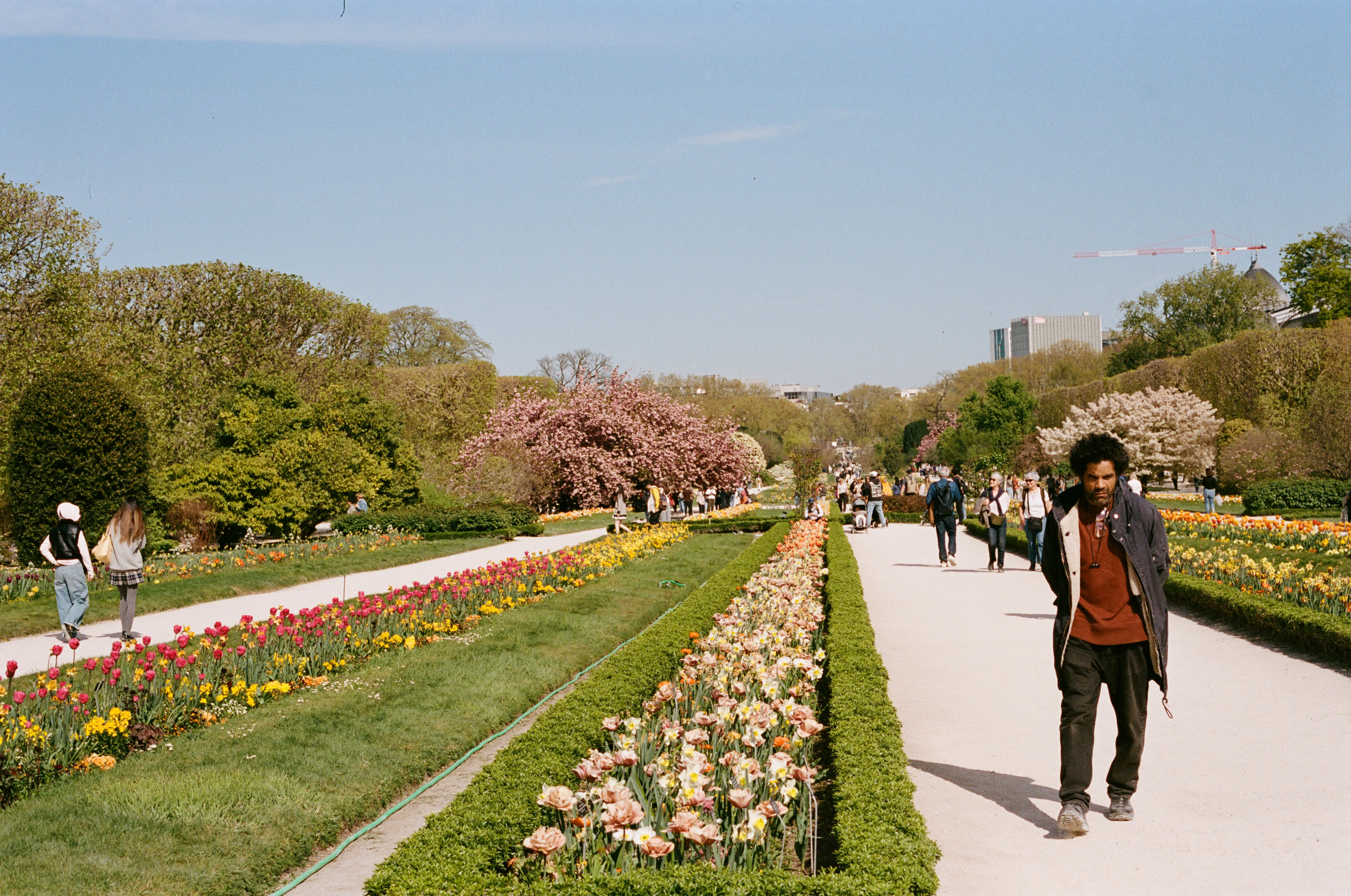 Large jardin plantes