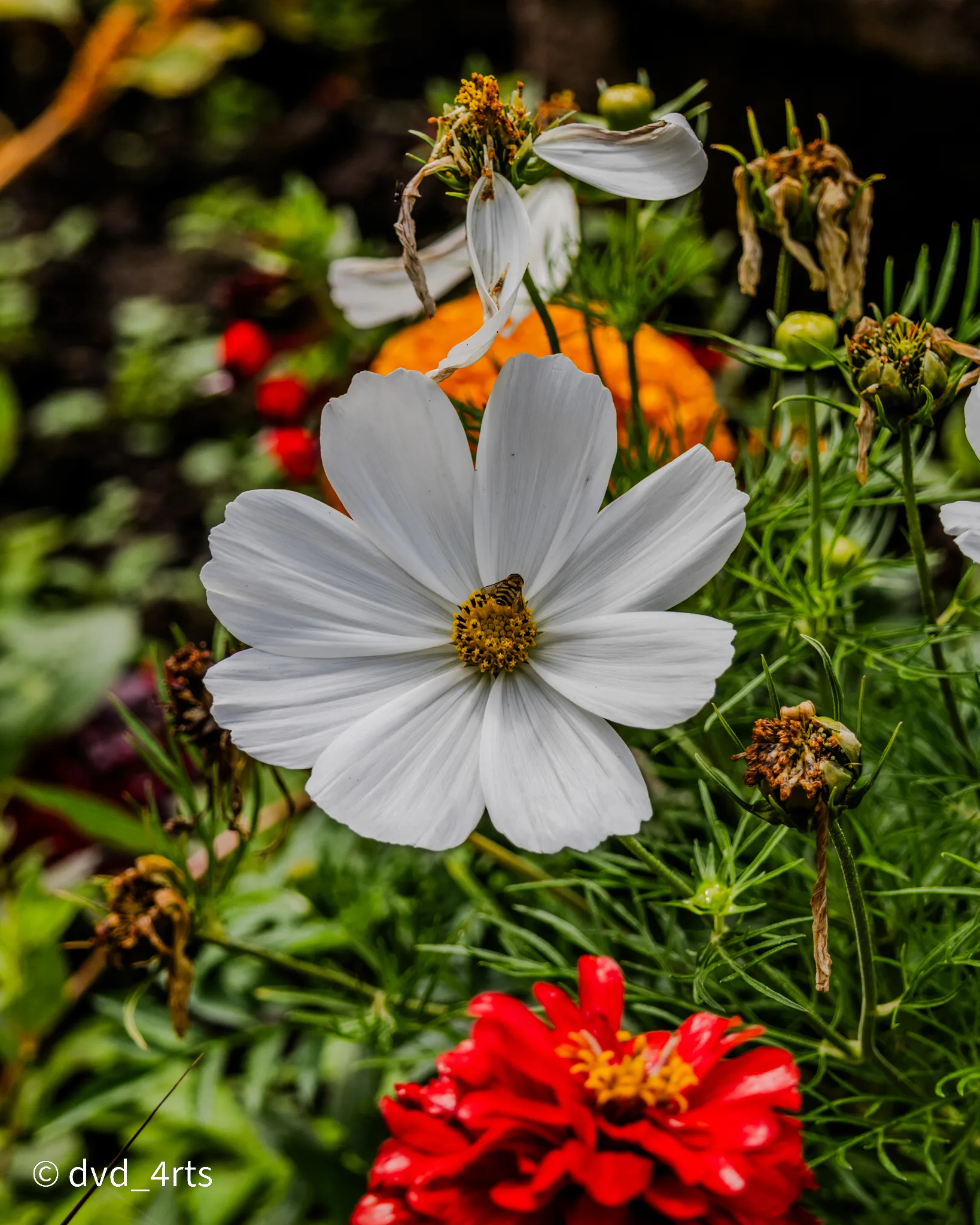 Fleur