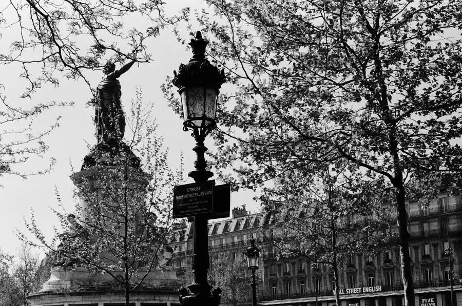 République, sous les fleurs — La statue de la République vue à travers les fleurs de printemps, coupée en deux