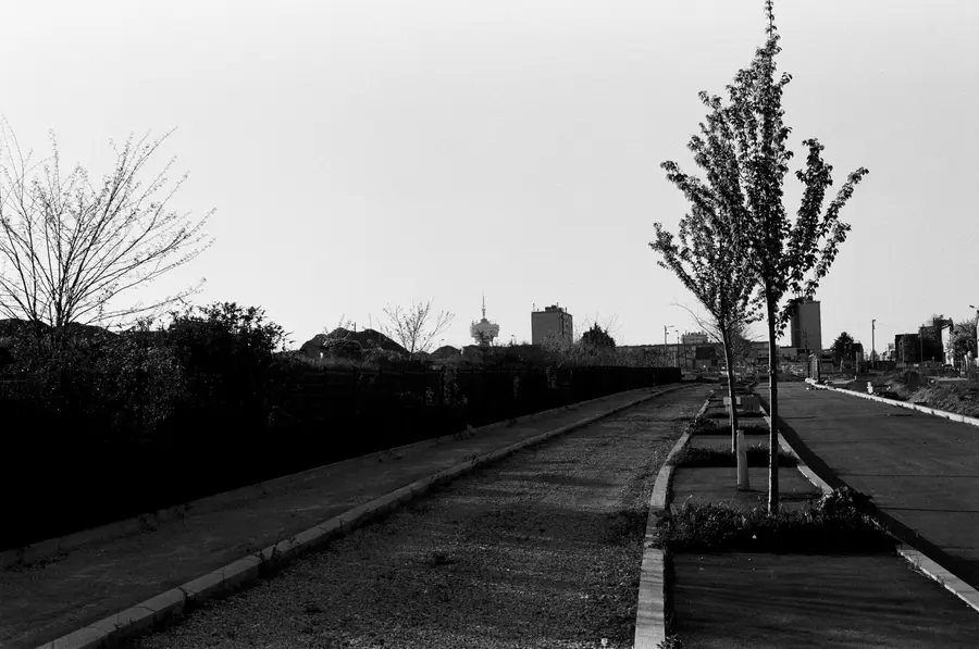 La route neuve — Une route qui vient d'être tracée, un arbre planté de la veille, et Paris qui co