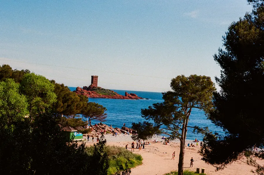 L'île d'Or — La plage, les pins, et la tour de l'île d'Or au fond — celle qui a donné L'Île n