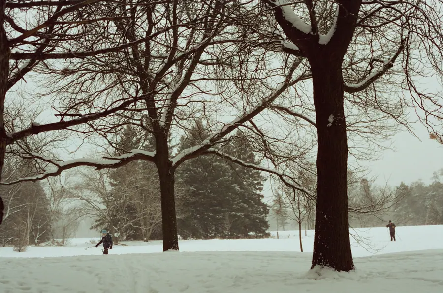 Montréal, l'hiver