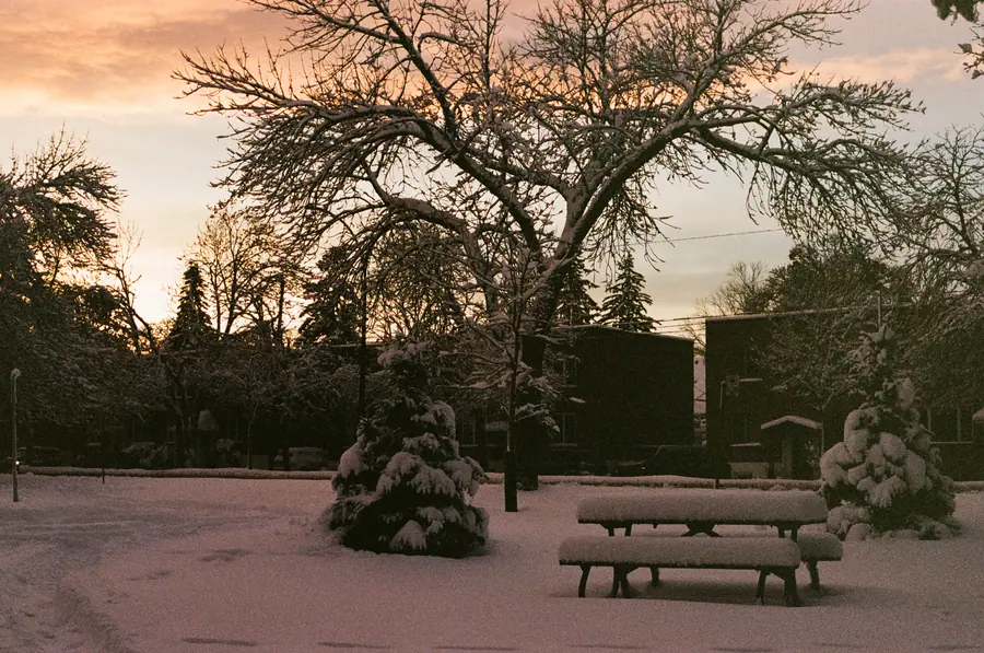 Fin de jour — La neige fraîche prend le rose du couchant. Les bancs du parc ont disparu sous v