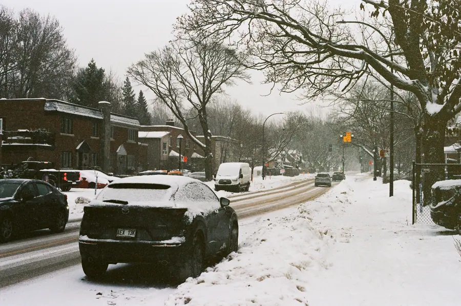 Rue déneigée — Les voitures ensevelies attendent la pelle. C'est le matin ordinaire d'un hiver 