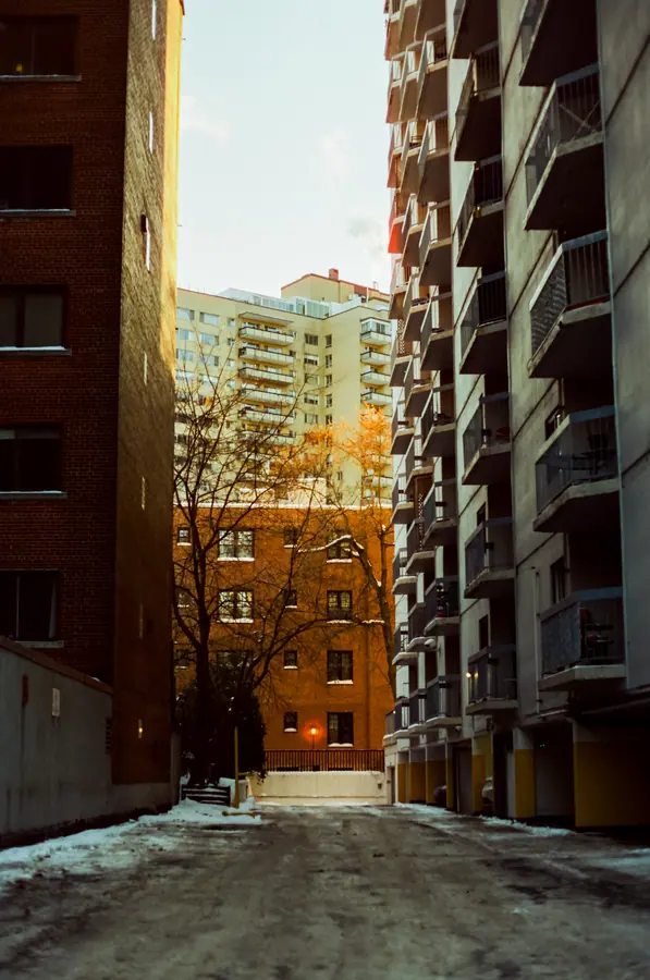 Ruelle — Entre deux immeubles, une bande de lumière chaude sur la brique et une langue de
