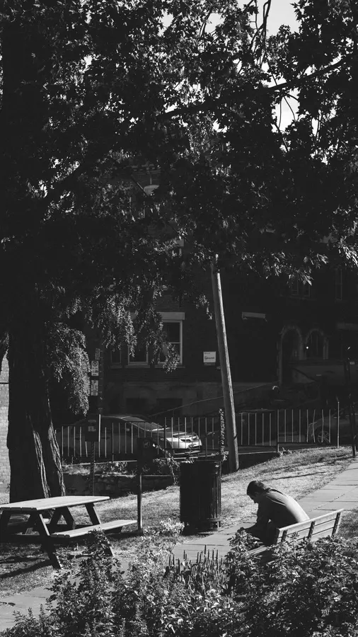 Le banc — Un après-midi ordinaire dans un parc de Montréal, à l'ombre.