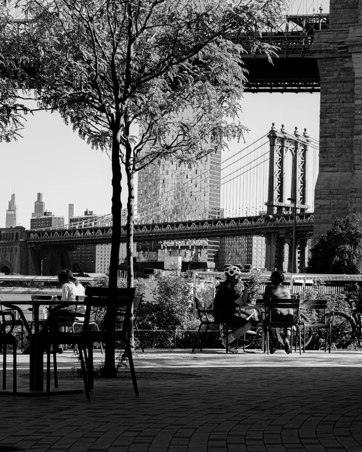 Manhattan Bridge — Le pont vu depuis une terrasse de Dumbo, entre deux arbres, un midi d'août.
