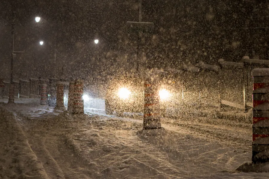 Tempête, l'allée — La même allée, quelques minutes plus tard. La neige a mangé le sol.