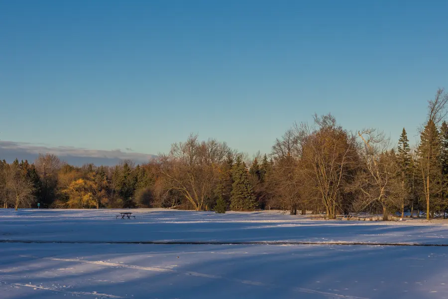 Maisonneuve, novembre — Le parc Maisonneuve à la mi-novembre, la première neige tenue, la lumière rasant