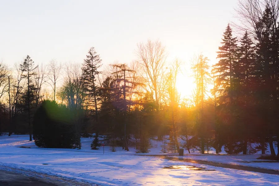 Contre-jour, conifères — Le soleil descend derrière les conifères, la neige devient bleue dans l'ombre.