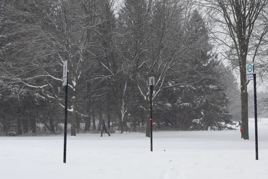 Les lampadaires — Deux lampadaires, des arbres chargés, et le blanc partout ailleurs.