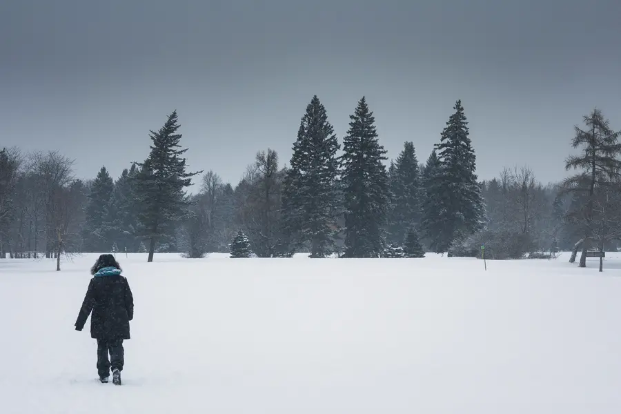 Le marcheur — Une silhouette traverse le champ. C'est la seule chose qui bouge.