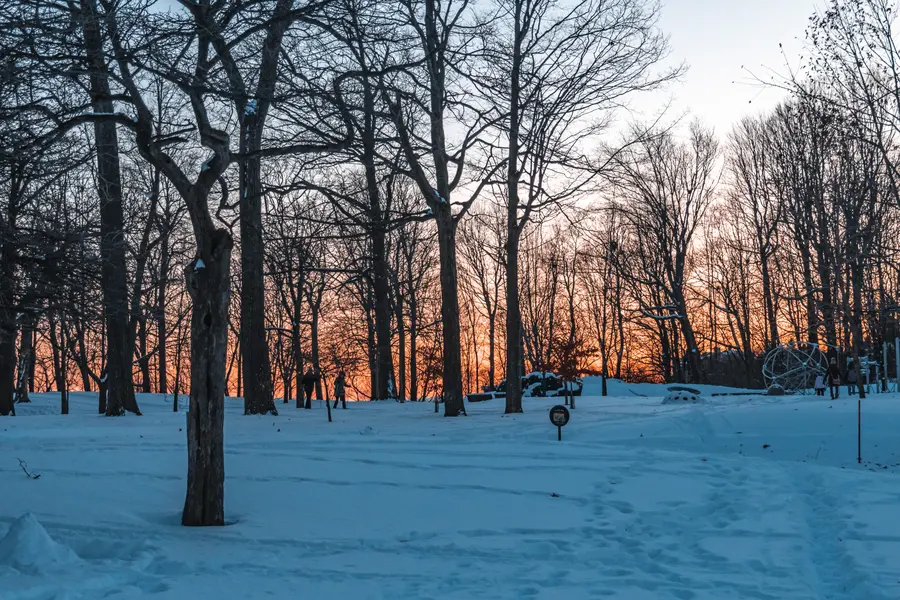 Le chemin, sous la neige — Le sentier du Mont-Royal après une chute, à l'heure où le soleil passe entre les