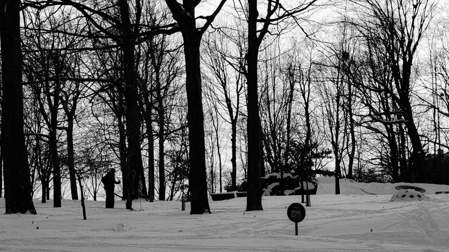 Les troncs — Rien que des troncs et de la neige, en noir et blanc. Le versant le plus dépouil