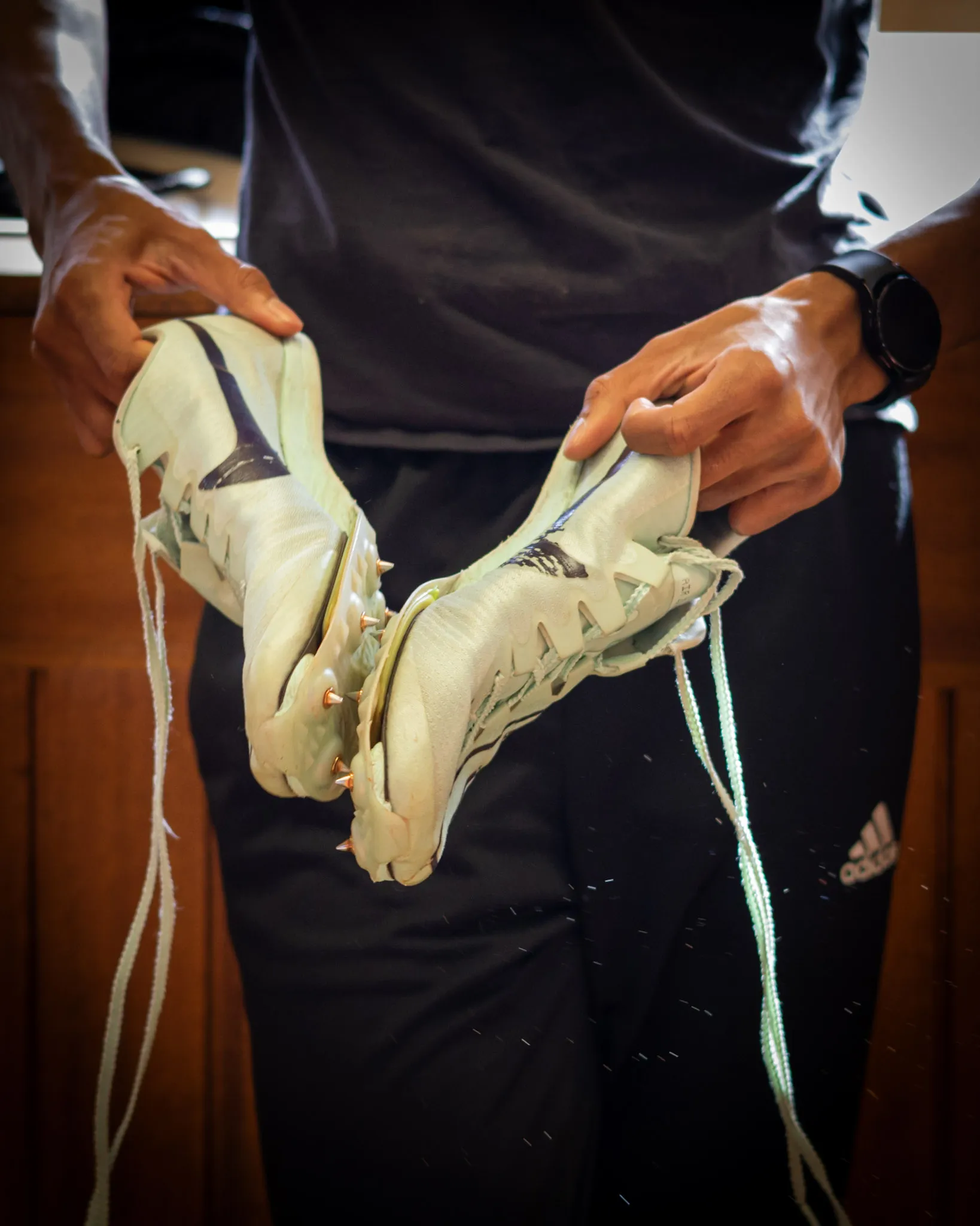 pointes