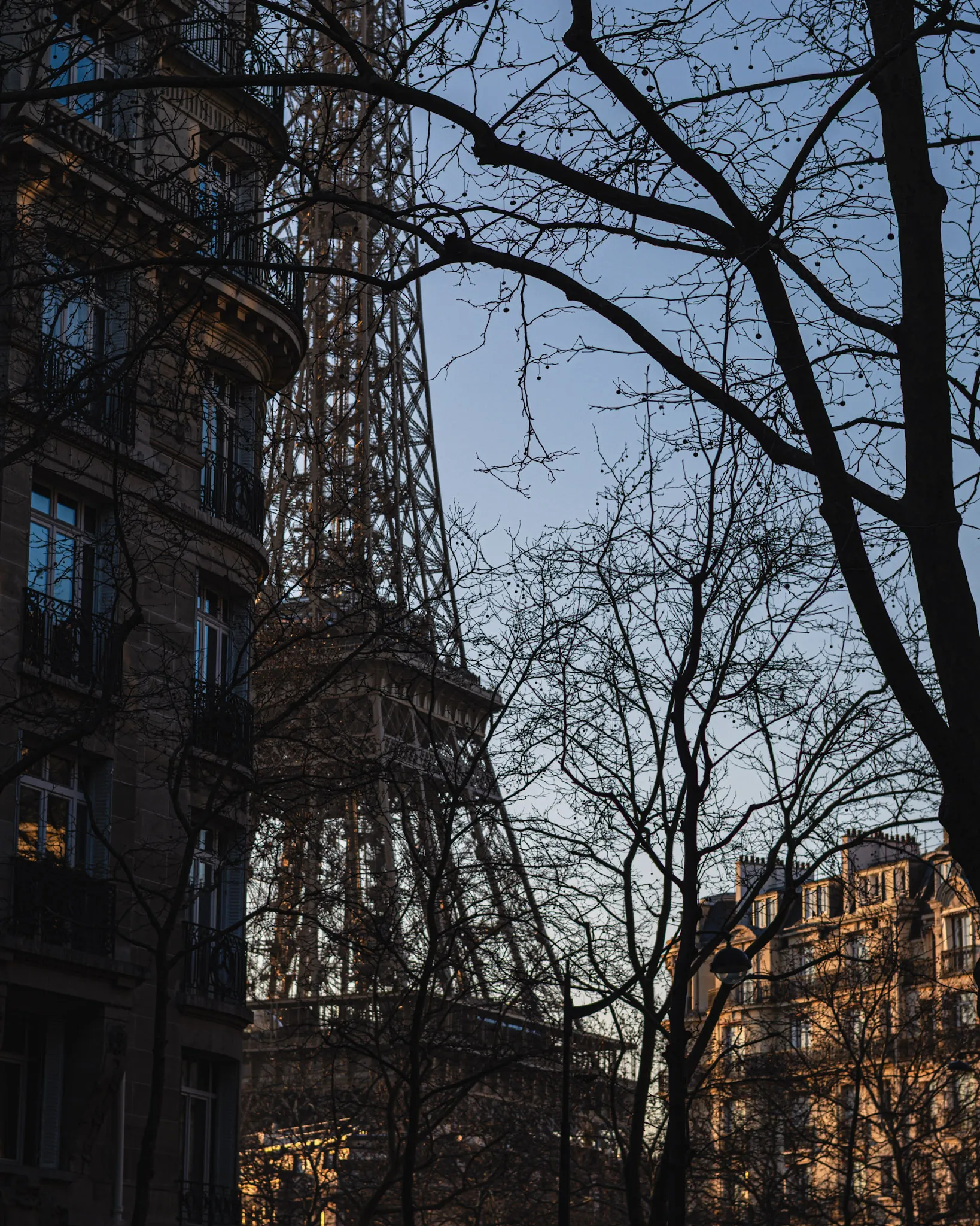 Tour Eiffel à travers les branches